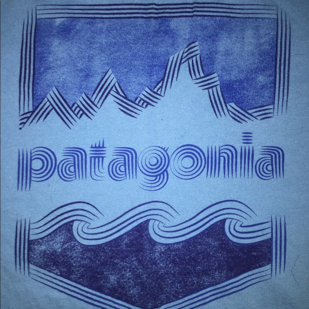 Men’s Medium Patagonia T-shirt